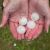 Peoria Hail Damage by Horn & Sons Roofing & Painting, LLC